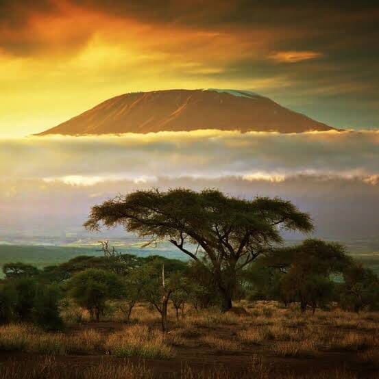 2-Day Nyerere (Selous) Game Reserve Safari